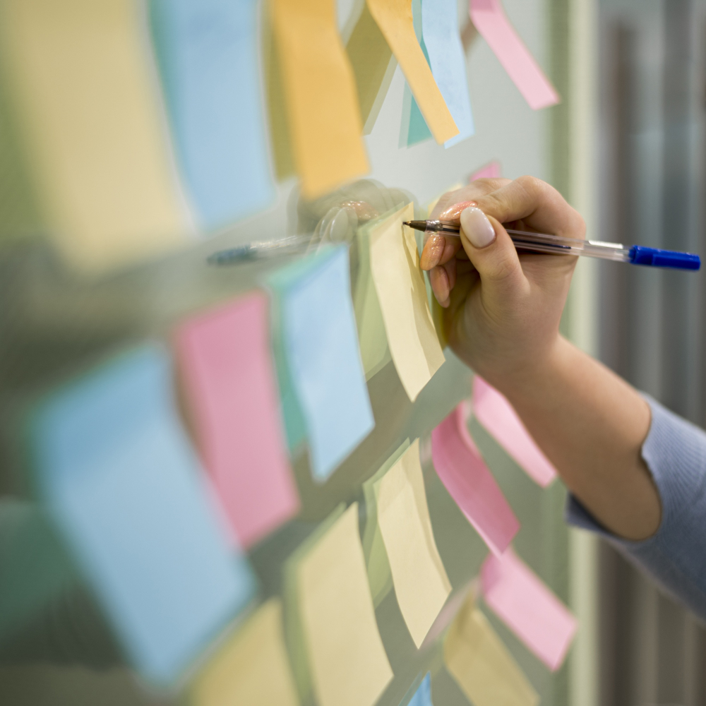 organizzazione